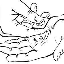 Line Drawings
